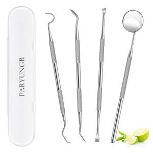 PARYUNGR Dental Tools, Professional Teeth Cleaning Oral Care Hygiene Kit, Stainless Steel Dental Pick Tooth Scraper Tartar Plaque Remover for Dentist, Personal, Pet Use with Storage Box