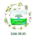 Charlie’s Soap Laundry Powder (50 Loads, 1 Pack) Hypoallergenic Deep Cleaning Washing Powder Detergent – Eco-Friendly, Safe, and Effective