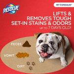 Resolve Pet Specialist Easy Clean Brushing Kit includes High Traffic Foam Carpet Cleaner, Pet Stain and Odor Remover, 22oz