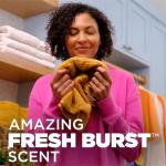 Arm & Hammer Plus OxiClean With Odor Blasters Laundry Detergent 5-IN-1 Power Paks, 42CT (Packaging may vary)