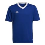 Adidas Unisex Child Entrada 22 Jersey Shirt, Team Royal Blue, X-Small US
