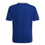 Adidas Unisex Child Entrada 22 Jersey Shirt, Team Royal Blue, X-Small US