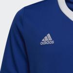 Adidas Unisex Child Entrada 22 Jersey Shirt, Team Royal Blue, X-Small US