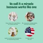 Sunny & Honey Carpet Cleaner Solution - 128 Fl Oz, Spring Mint Scent - Carpet Shampoo & Pet Stain Remover for Upholstery & Rugs, Works With Steam Cleaners