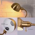 O'Bright Nova - Adjustable Floor Lamp with Flexible Gooseneck and Rotatable Shade, E26 Socket, 10-Inch Base - Ideal for Reading, Bedside, Living Room, Antique Brass