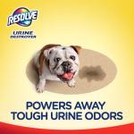 Resolve Carpet Concentrate for Steam Urine Destroyer, Carpet Cleaner Solution, Carpet Cleaner, Pet Stain and Odor Remover, 60 Fl Oz