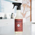 MRS. MEYER'S CLEAN DAY Multi-Surface Everyday Cleaner, Fall Leaves Scent, 16 fl oz