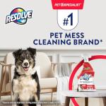 Pet Stain & Odor Remover Spray, 22 Fl Oz