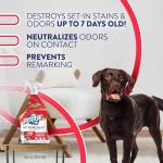 Pet Stain & Odor Remover Spray, 22 Fl Oz