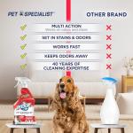 Pet Stain & Odor Remover Spray, 22 Fl Oz