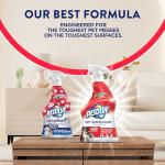 Pet Stain & Odor Remover Spray, 22 Fl Oz