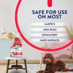 Pet Stain & Odor Remover Spray, 22 Fl Oz