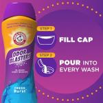 ARM & HAMMER Odor Blasters Laundry Scent Booster