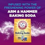 ARM & HAMMER Odor Blasters Laundry Scent Booster