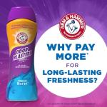 ARM & HAMMER Odor Blasters Laundry Scent Booster