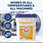 Arm & Hammer Professional Powder Laundry Detergent 290 Loads