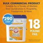 Arm & Hammer Professional Powder Laundry Detergent 290 Loads