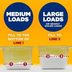 Arm & Hammer Professional Powder Laundry Detergent 290 Loads