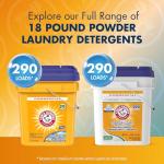 Arm & Hammer Professional Powder Laundry Detergent 290 Loads