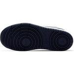 Nike Court Borough Low 2 Kids Sneakers