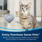 Bissell Pet Stain & Odor Antibacterial Carpet Cleaner