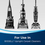 Bissell Pet Stain & Odor Antibacterial Carpet Cleaner