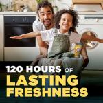 ARM & HAMMER Clean Scentsations Scent Booster, Cool Woods