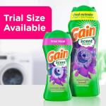 Gain Moonlight Breeze Laundry Scent Booster, 24 OZ