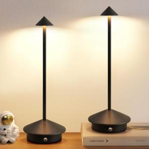Cordless LED Table Lamp Set of 2