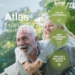 Atlas 1 LT Cold Press Extra Virgin Olive Oil