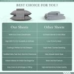 500 TC Queen Size Cotton Bed Sheet Set