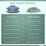 Luxury Cotton Queen Bed Sheet Set - Blue