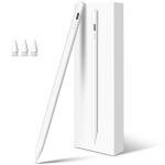 iPad Pencil Stylus with Fast Charging & Palm Rejection