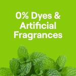 CLEANER TOILET BOWL MINT