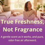 Capture Carpet & Rug Dry Cleaner - 4 lb