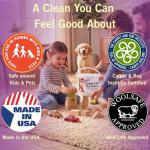 Capture Carpet & Rug Dry Cleaner - 4 lb