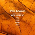 Mrs. Meyer's Multi-Surface Cleaner, Fall Leaves Scent