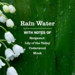 Mrs. Meyer's All-Purpose Cleaner Spray, Rain Water