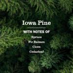 MRS. MEYER'S CLEAN DAY All-Purpose Cleaner Spray, Limited Edition Iowa Pine, 16 fl. oz