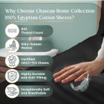 Egyptian Cotton Queen Sheet Set – Deep Pocket