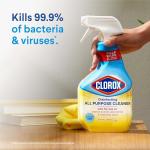 Clorox All-Purpose and Bathroom Cleaner Pack