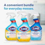 Clorox All-Purpose and Bathroom Cleaner Pack