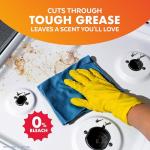 Lysol Multi-Purpose Cleaner Spray, Mango Hibiscus Scent