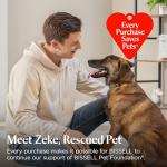 BISSELL Little Green Portable Carpet Cleaner 1400B