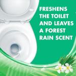 Lysol Toilet Bowl Cleaner Gel, Forest Rain Scent