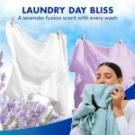 Lysol Laundry Sanitizer & Scent Booster, Lavender