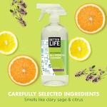 Better Life All Purpose Cleaner Spray - 32oz Pair
