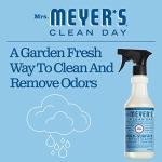 Mrs. Meyer's Clean Day Multi-Surface Cleaner, Rain Water