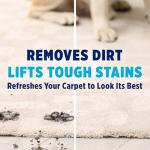 OxiClean Large Carpet Cleaner for Steam Machines