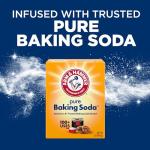 ARM & HAMMER Clean Burst Liquid Laundry Detergent